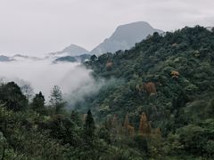 -青城山