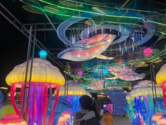 -三亚海昌梦幻海洋不夜城