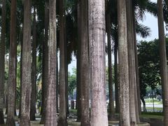 -深圳国际园林花卉博览园