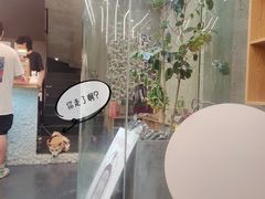 -Infica Coffee