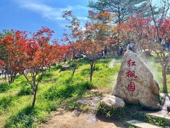-广州市帽峰山景区