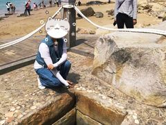 -宋井风景区
