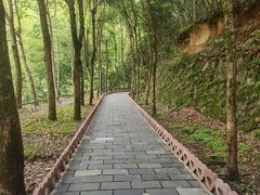-黄山翡翠谷景区