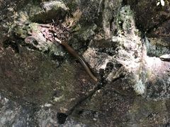 -宁波五龙潭景区