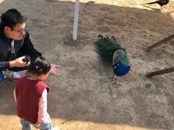 -萌宠亲子动物乐园(槐房万达店)