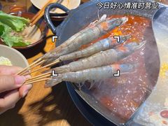 -阳阳老火锅(小南门店)