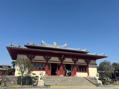 -洛阳古墓博物馆