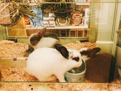 -龙猫仔乐园(惠福东路店)