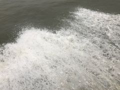 -巢湖姥山岛