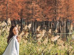 -白鹭湾湿地公园