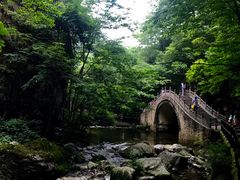 -牛背梁国家森林公园
