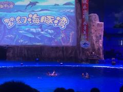 -华夏文旅海洋公园