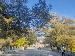 -北陵公园