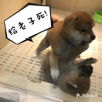 和朋友恰好在附近 在对面看到什么杂货铺 然后发现是柴