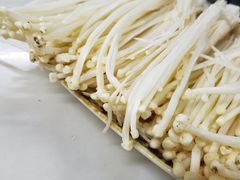 -顺德哥卜卜贝(旗舰店)