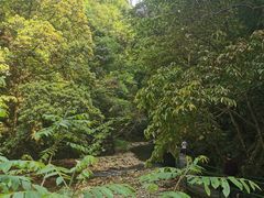 -后柳水乡