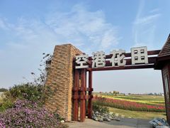 -空港花田景区