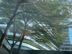 -瑰丽酒店·海吧·天际下午茶·现场DJ·天台酒吧
