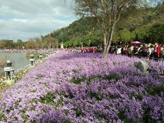 -顺峰山公园
