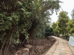 -张坝桂圆林公园