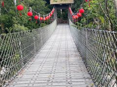 -海南热带雨林国家公园吊罗山景区