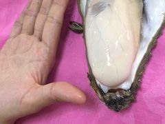 -蠔园山庄(礼乐食街店)