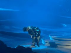 -大连体育中心体育馆