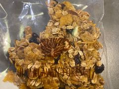 -喜马拉雅森HIMALAYAN FOREST