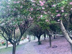 -清凉山国家森林公园