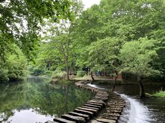 -阿哈湖国家湿地公园