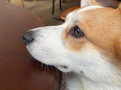 -肥朵食堂(带梦胡同店)