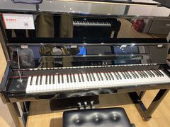 -柏斯音乐艺术中心·钢琴·吉他(世纪金源店)