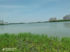 -金银湖国家城市湿地公园