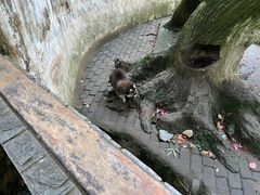 -杭州动物园
