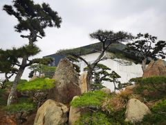 -罗红摄影艺术馆