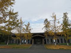 -都江堰中华大熊猫苑