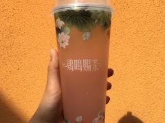 -鸡鸣赐茶(鸡鸣寺路店)