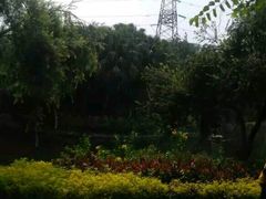 -晓港公园