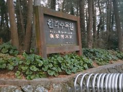 -汉拿树木园
