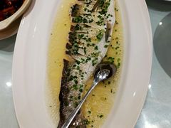 -沪碟·精菜坊(闵行店)