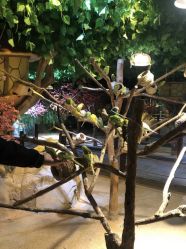 -酷嗒动物文化乐园(cutezoo西溪乐天城店)