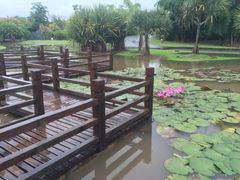 -中国科学院西双版纳热带植物园