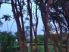 -碧海金沙