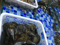 带子-淡村菜市场