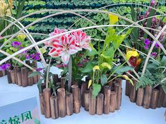 -石家庄市植物园