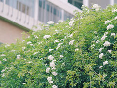 -四川大学(望江校区)
