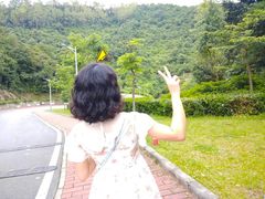 -火炉山森林公园