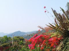 -优游吧斯邹族文化部落