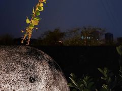 -恬阿姨庭院餐厅·生日宴