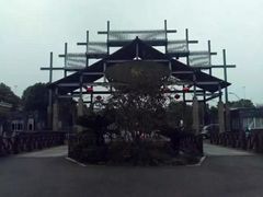 -荷塘月色湿地公园·向阳花洲